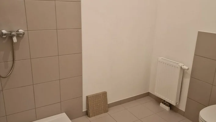 Fliesendusche + Toilette