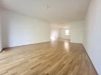 Wohnzimmer mit Küchenbereich