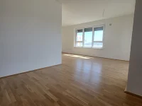 Blick aus Küche ins Wohnzimmer Top 1